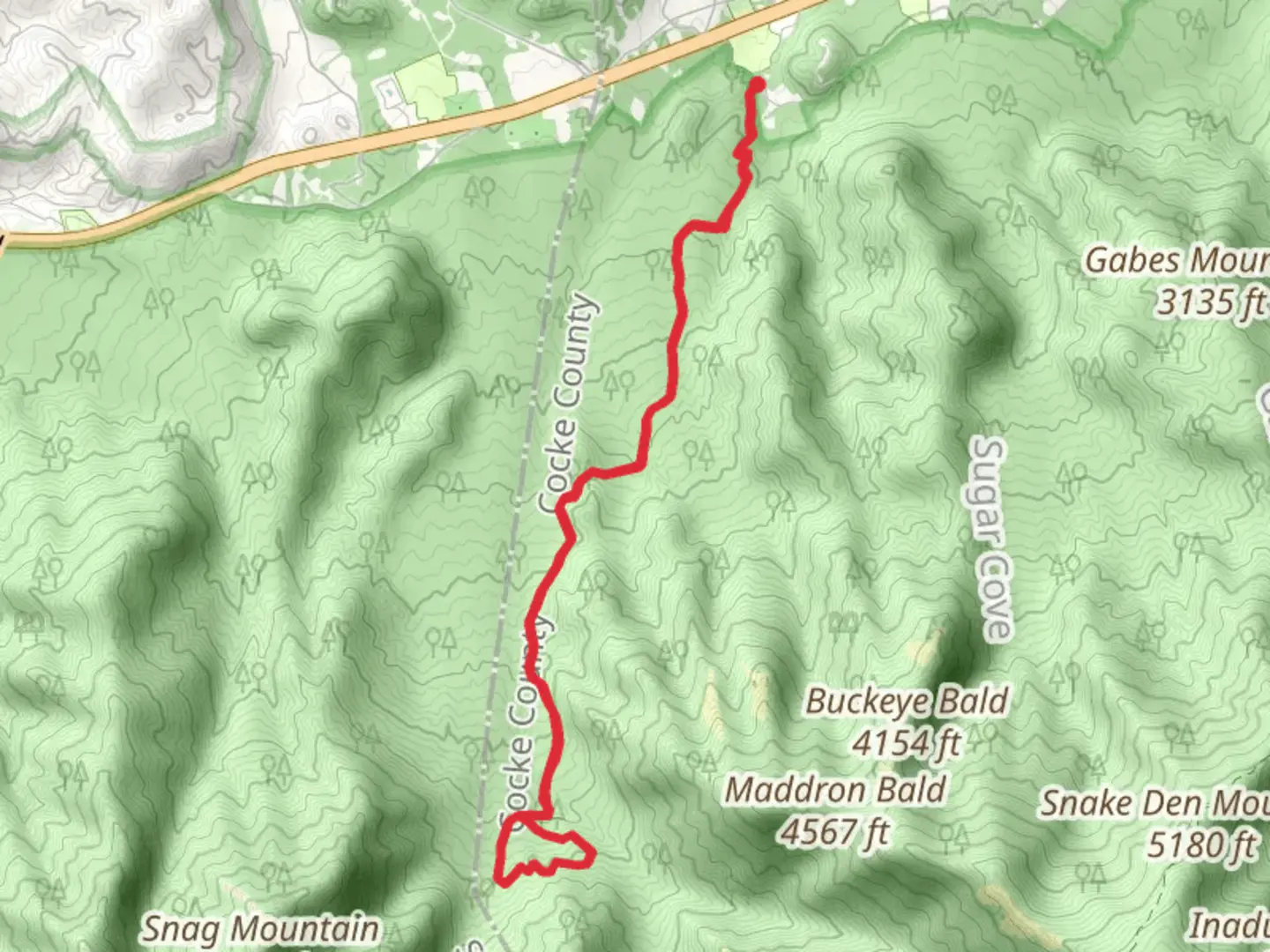 An image depicting the trail Maddron Bald Trail Loop and its surrounding area.