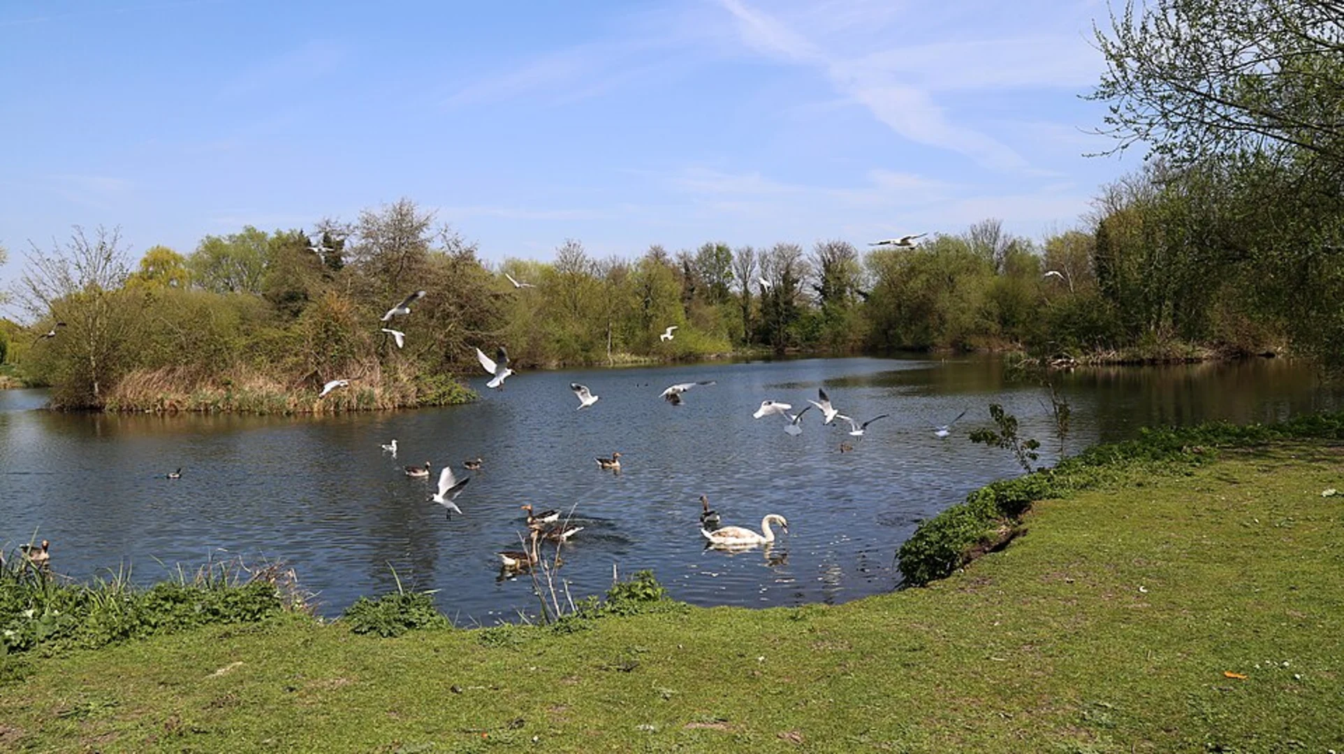 An image depicting the trail Friday Lake and Hooks Marsh Lake via Waltons Walk and its surrounding area.