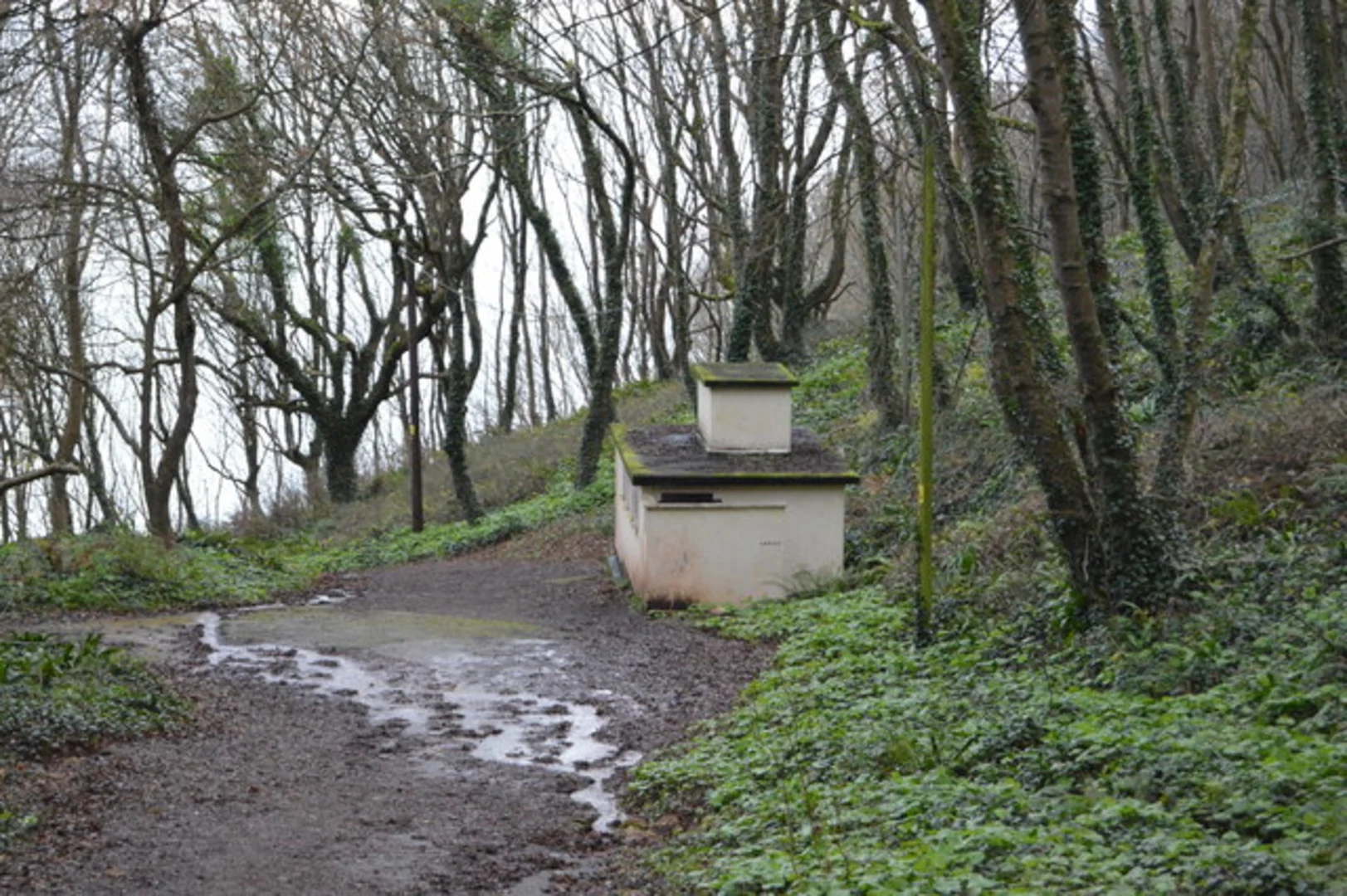 An image depicting the trail Petit Tor Point Walk and its surrounding area.