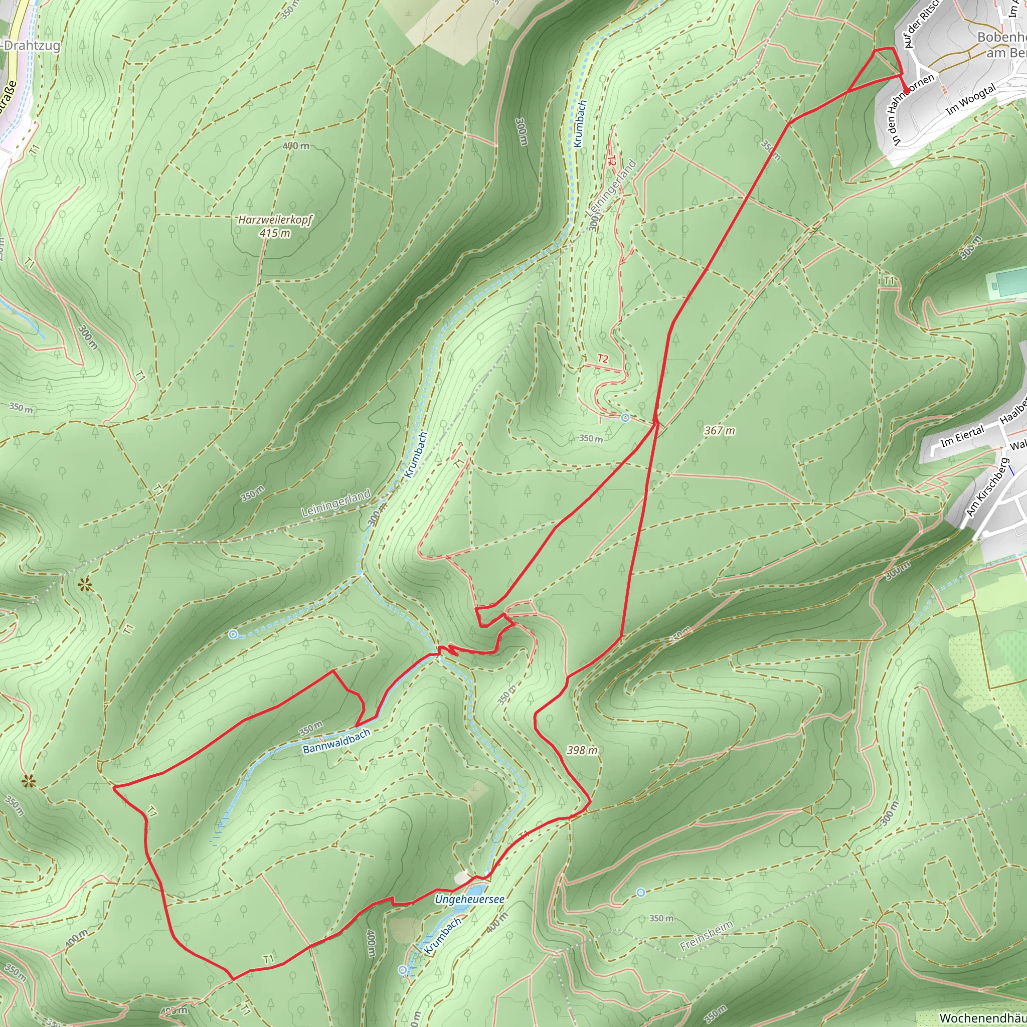 Ungeheuersee Loop via Pfaelzerwald Gruenes Kreuz mobile static map