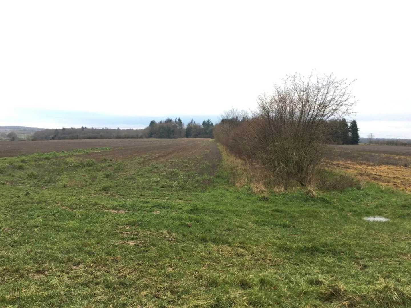 An image depicting the trail Oakley Southern Loop and its surrounding area.