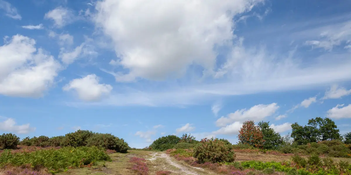Blythburgh from Wenhaston