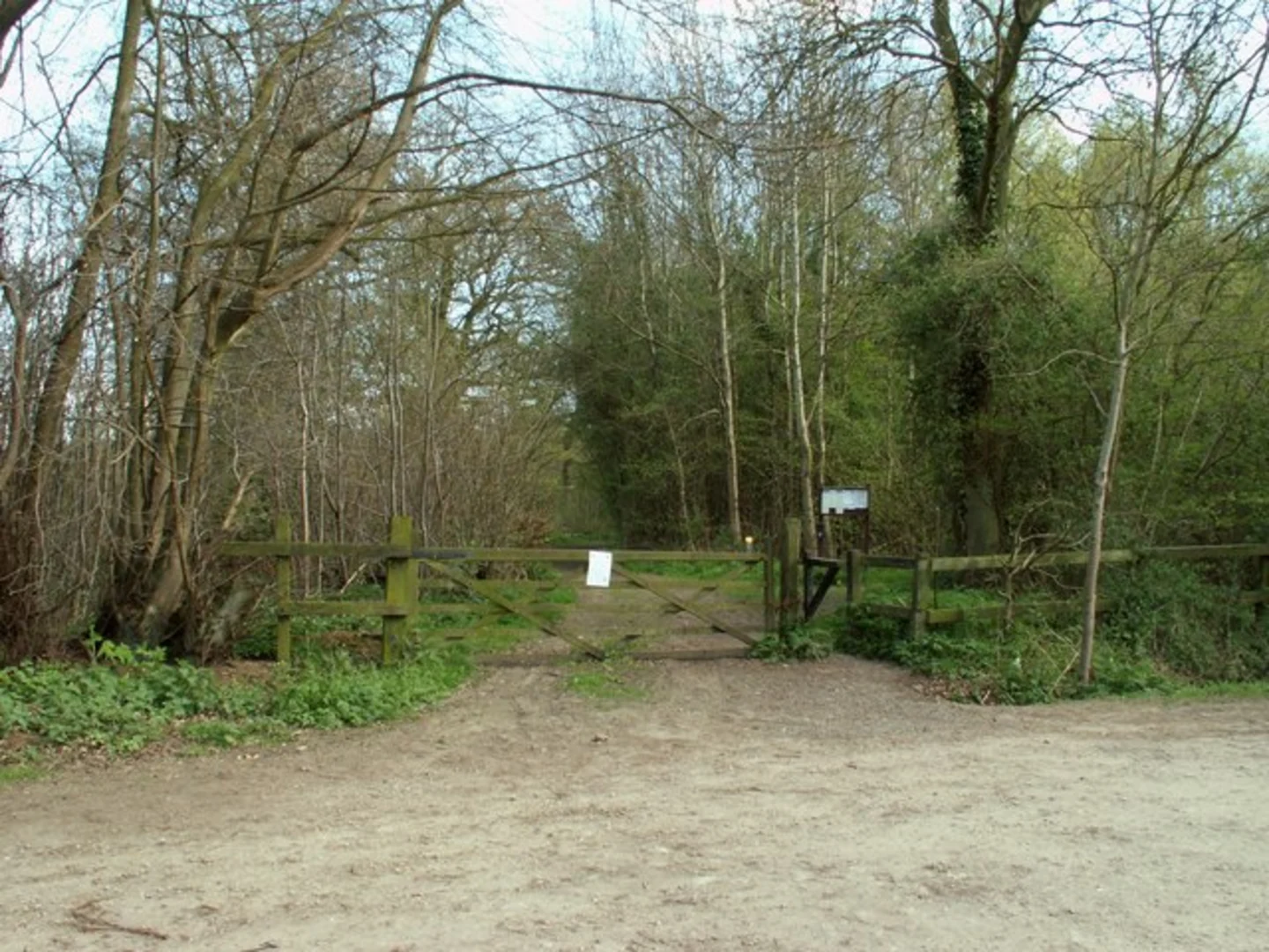 An image depicting the trail Garnett's Wood in Bishop Green and its surrounding area.