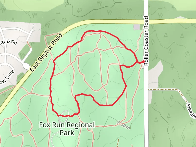Roller Coaster Road Loop