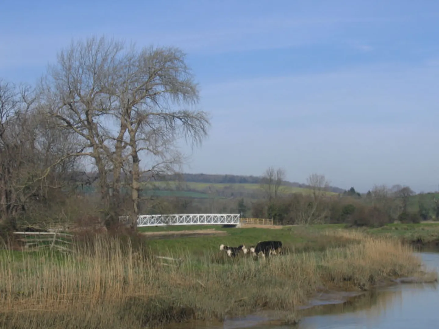 An image depicting the trail Arundel Castle and Burpham Country Park Loop and its surrounding area.