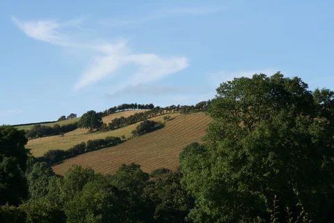 Clun and Mardu Loop via Hergan