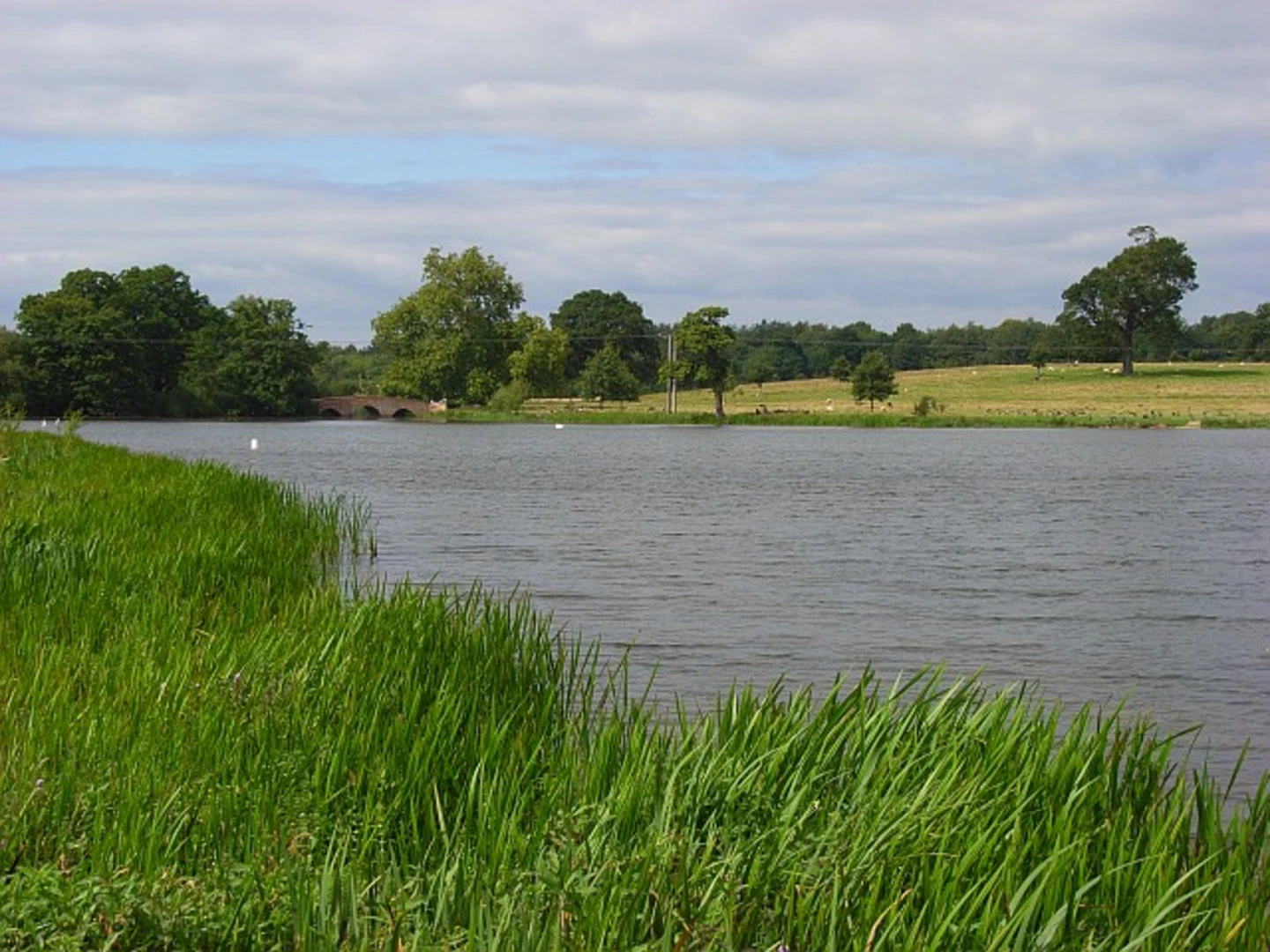 An image depicting the trail Tundry Pond and Burnbake Copse Loop and its surrounding area.