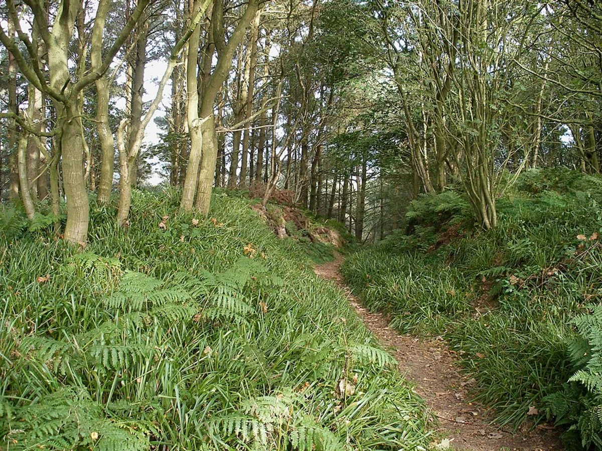 Throxenby Mere and Raincliffe Woods Loop