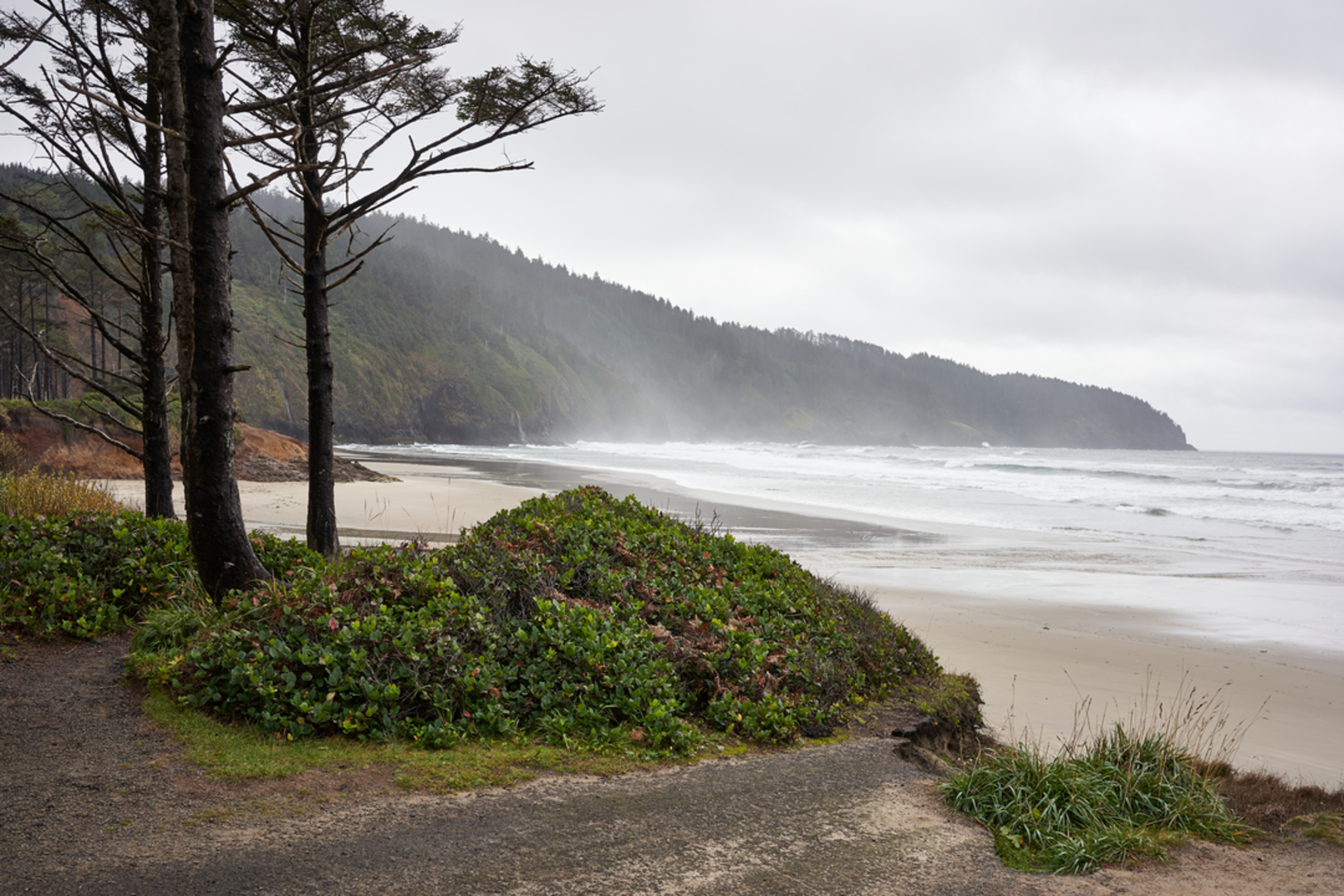 An image depicting the trail Cape Lookout Trail and its surrounding area.