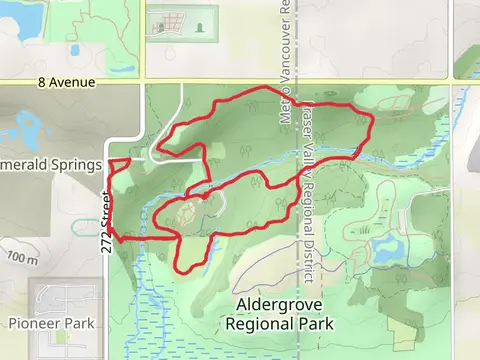 Pepin Brook, Rock 'N Horse and Woodpecker Loop Trail