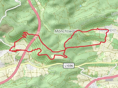 Zwillingseichenweg and Salzweg Loop
