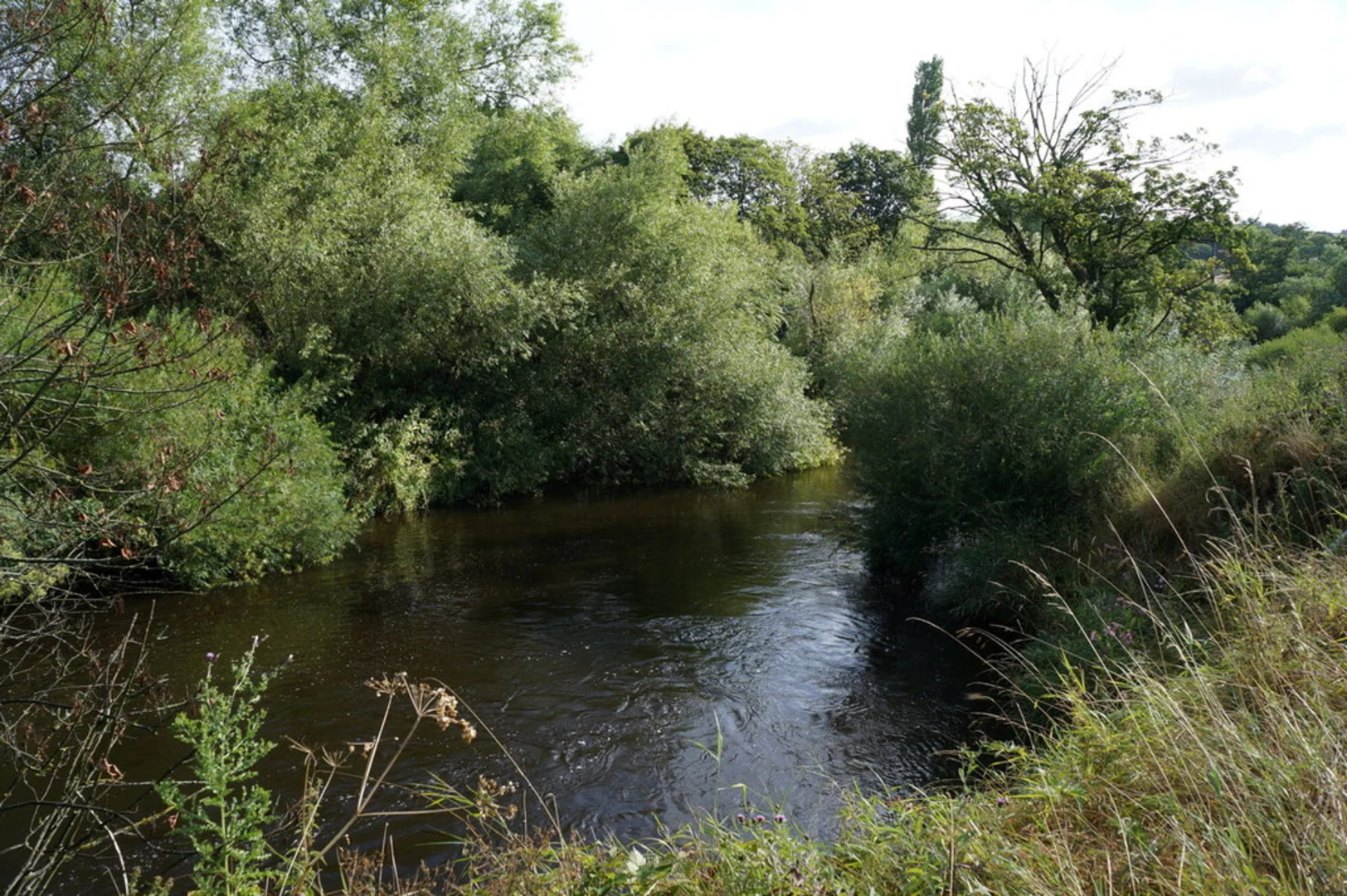 An image depicting the trail East Keswick Loop and its surrounding area.
