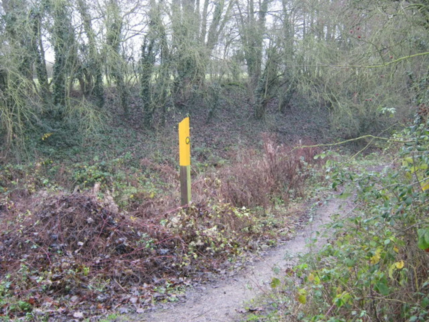 An image depicting the trail Ullesthorpe Loop and its surrounding area.