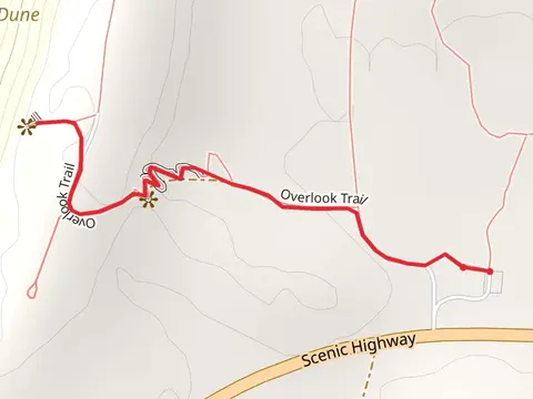 Arcadia Dunes - The CS Mott Nature Preserve Short Walk