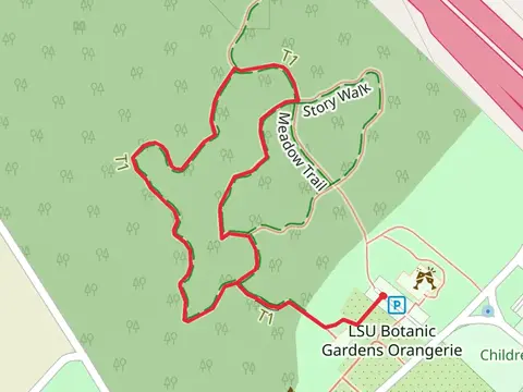 Learning Tree Loop Trail