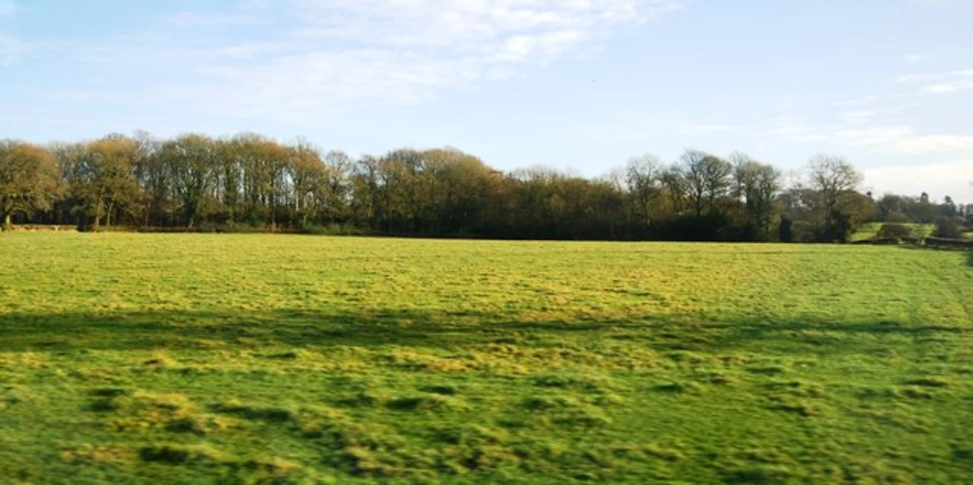 An image depicting the trail Cresswell Wood and Barlaston Loop and its surrounding area.