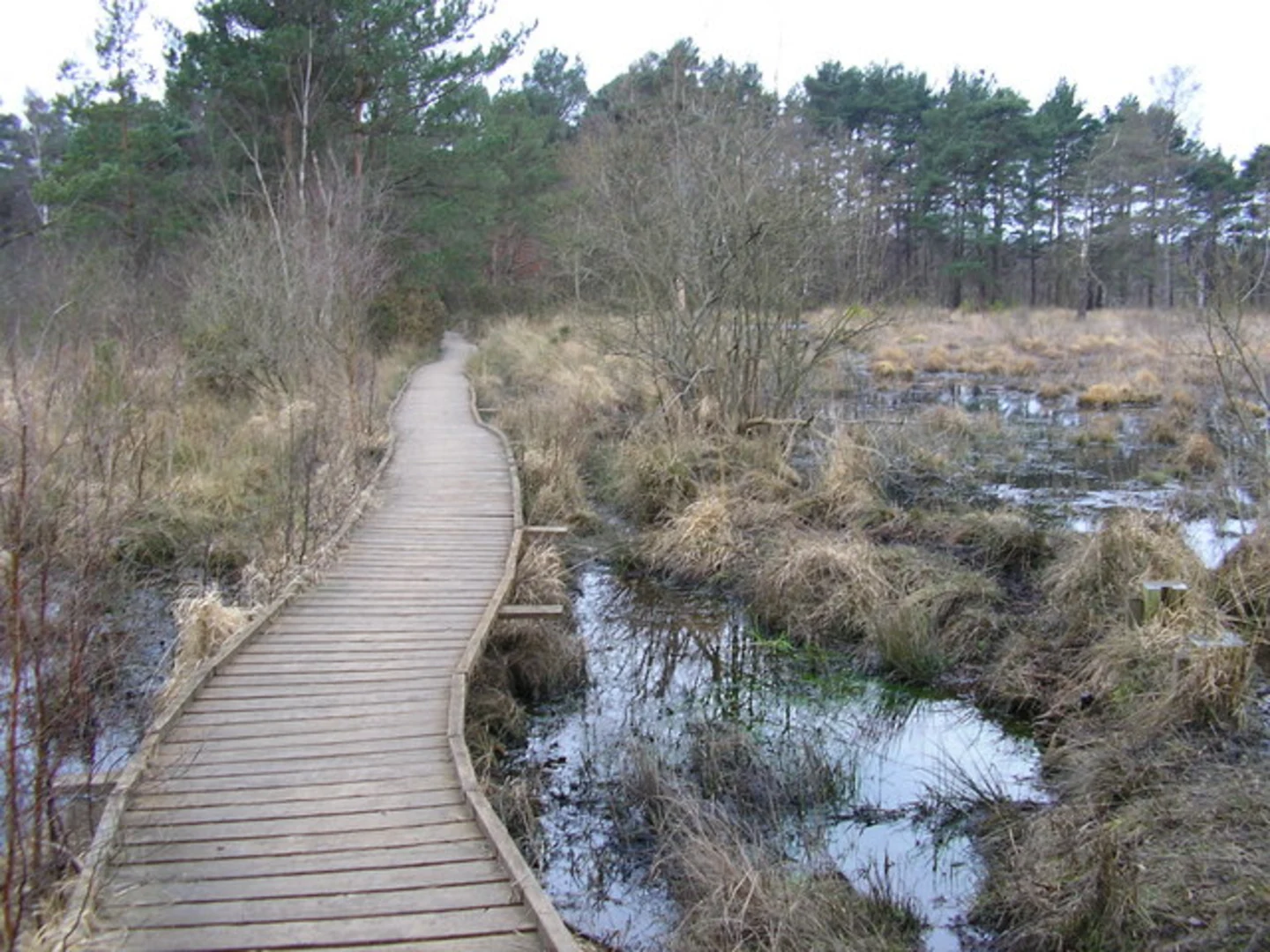An image depicting the trail Sandhurst to Crowthorne Loop via Wellington College and its surrounding area.