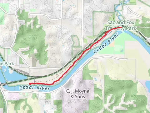 Ash and Locust along Cedar River