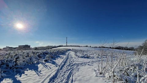 Rund um den Brodtberg