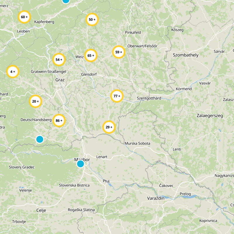 Bezirk Südoststeiermark Static Map