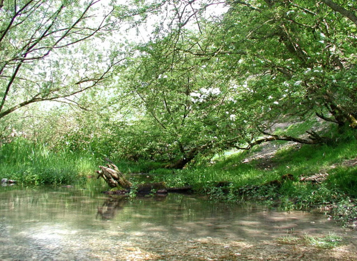 West Hill Plantation and Drewton Wold via High Hunsley Circuit