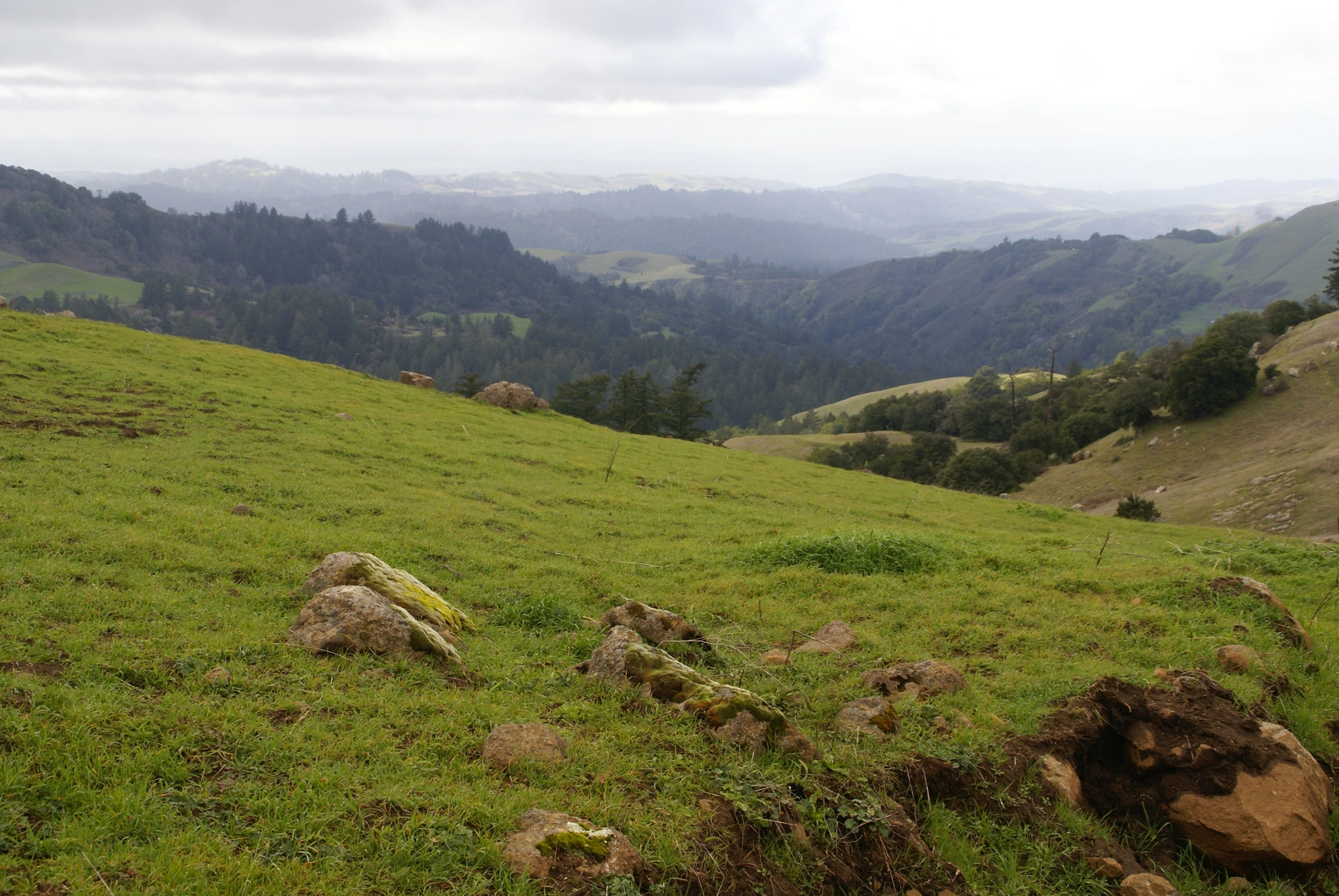 An image depicting the trail Borel Hill Loop via Hawk Ridge and Ancient Oaks Loop Trail and its surrounding area.