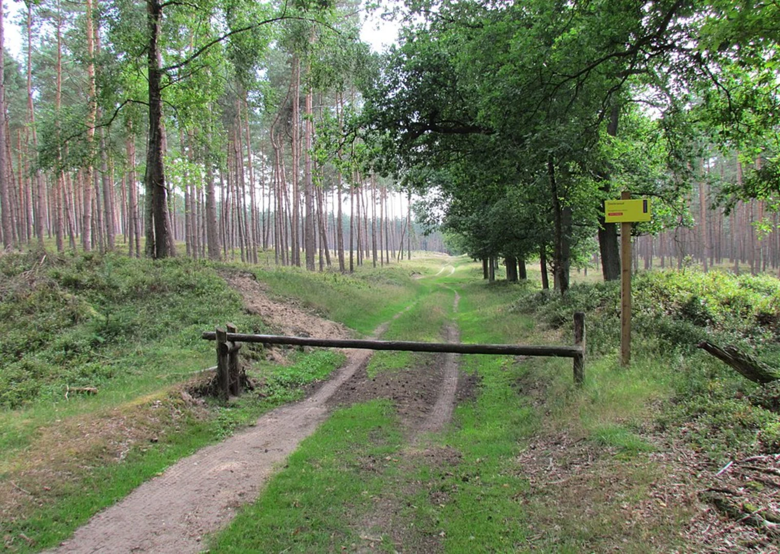 An image depicting the trail Grote Heide and Kleine Heide Loop via Delense Weg and its surrounding area.
