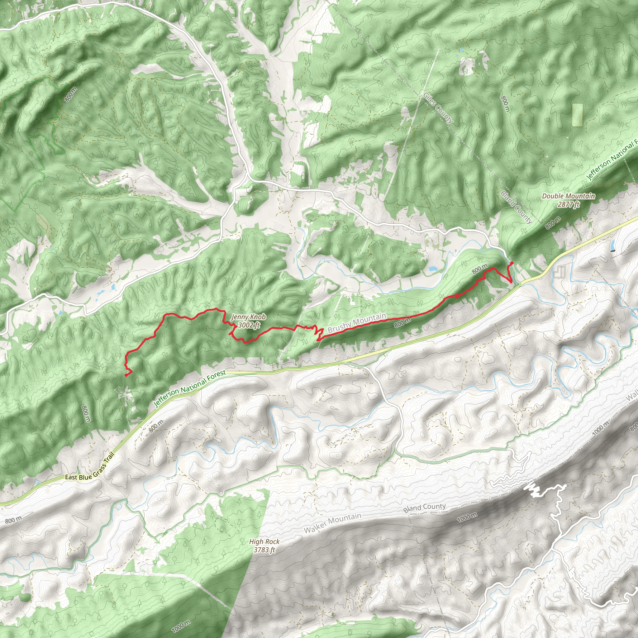 Appalachian Trail from State Route 611 mobile static map