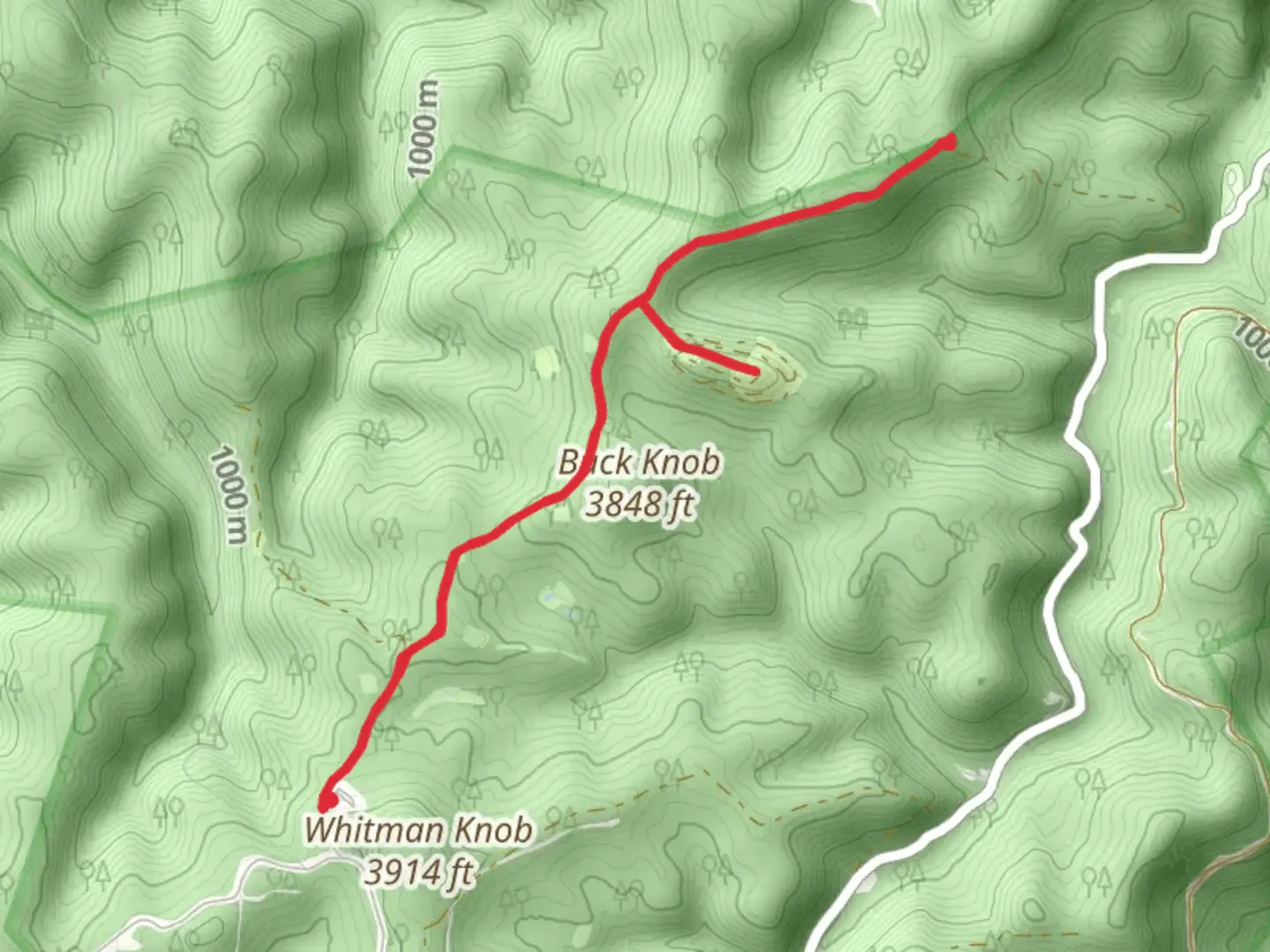 An image depicting the trail Rich Mountain Fire Trail and its surrounding area.