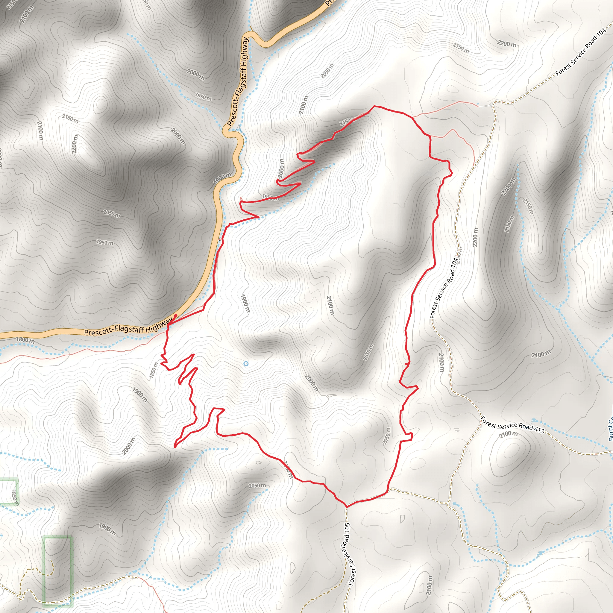 Forest Trail 111 Loop mobile static map