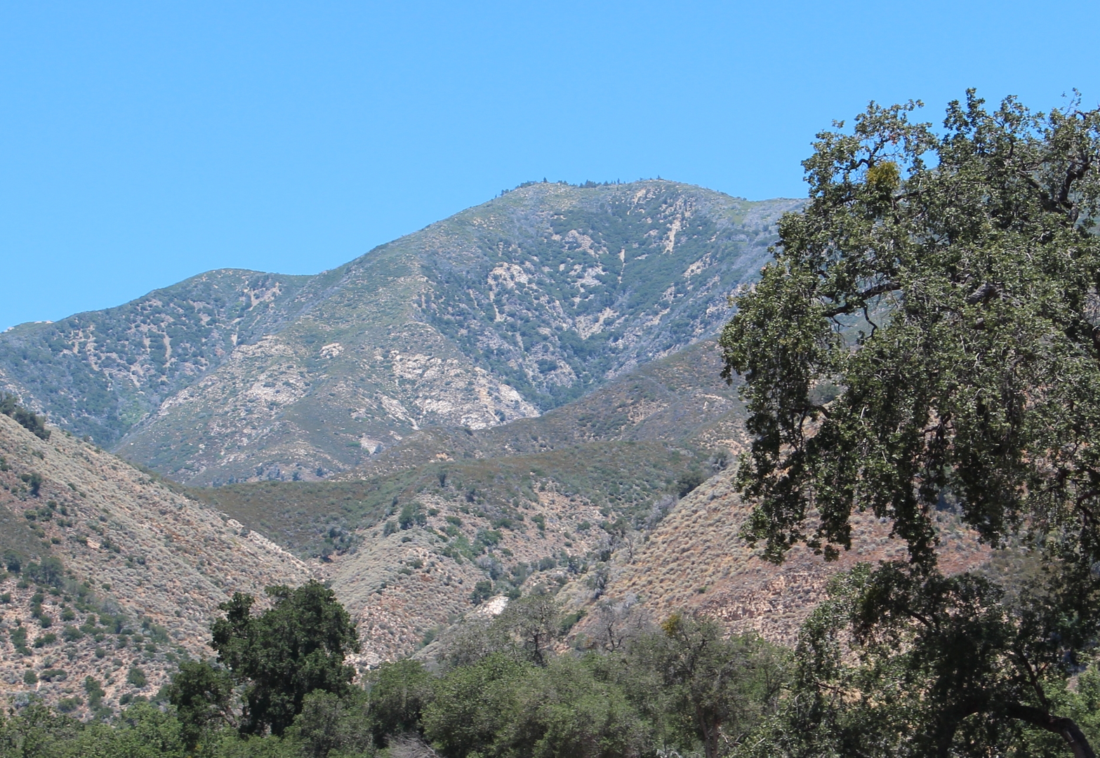 An image depicting the trail Santa Lucia Peak Trail and its surrounding area.