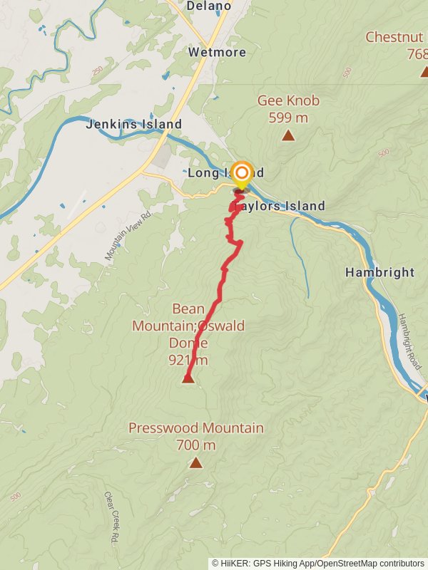 Bean Mountain - Oswald Dome