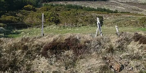 An image depicting the trail Kilbrannish Hill Loop and its surrounding area.