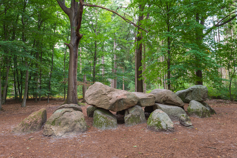 Gagelveen and Boswachterij Anloo Loop