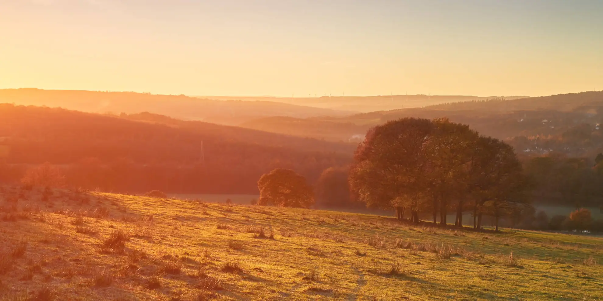 An image depicting the trail Gibside Explorer Trail and its surrounding area.