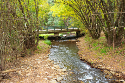Harrietville Trail