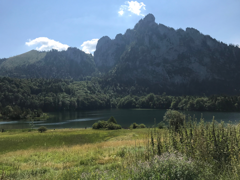 An image depicting the trail Franzl im Holz to Lake Laudachsee and its surrounding area.
