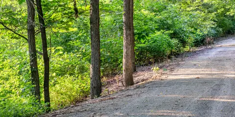An image depicting the trail Steamboat Trace Trail and its surrounding area.