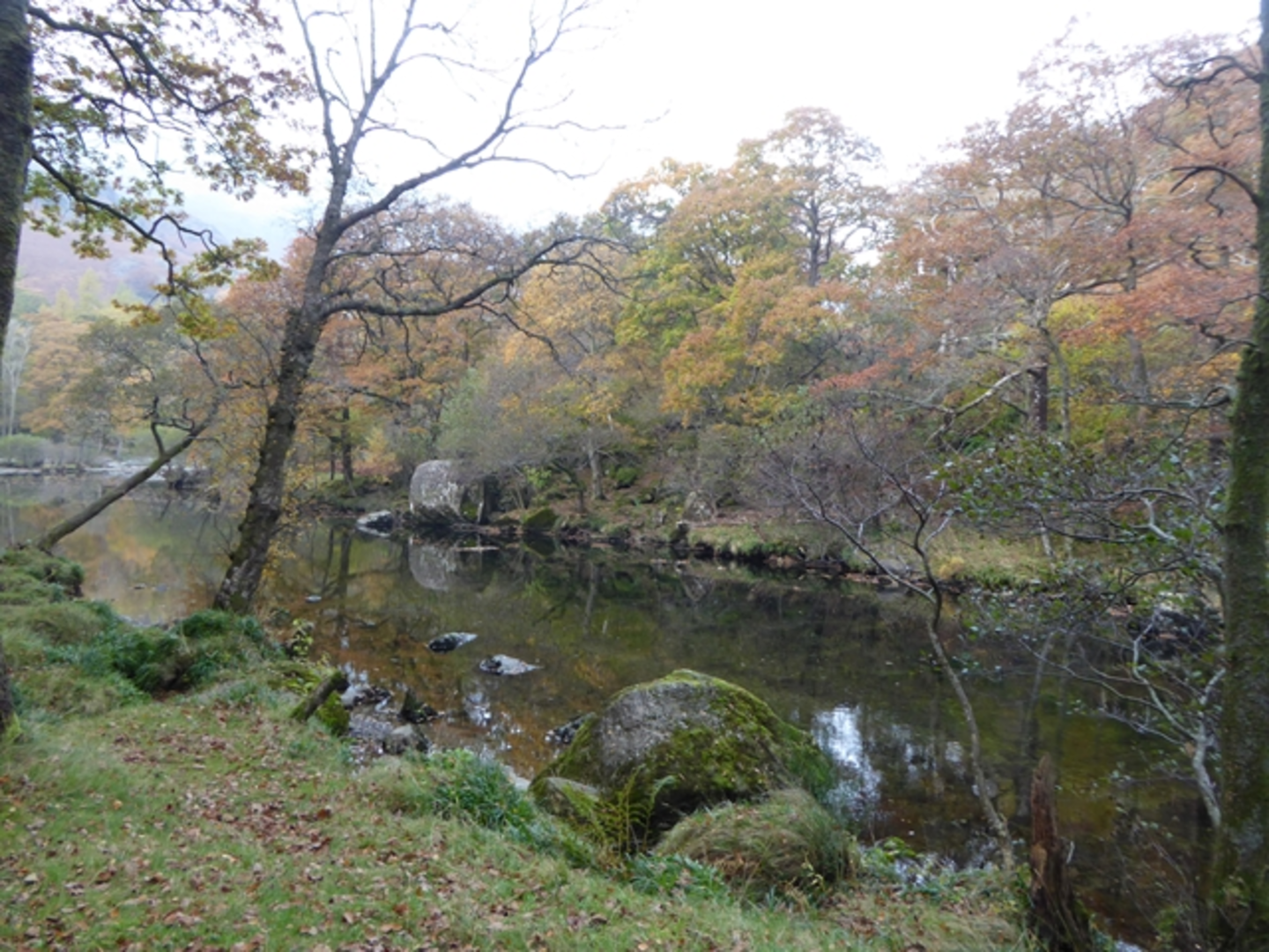 An image depicting the trail Grange, Castle Crag and Low and High Hows Wood and its surrounding area.