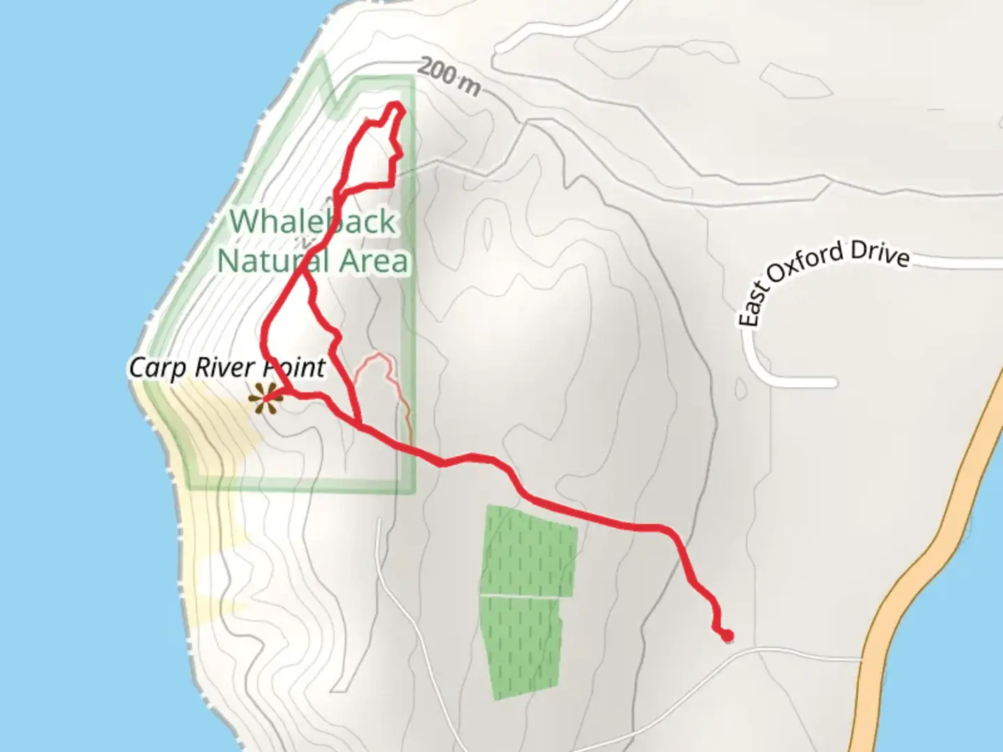 An image depicting the trail Glacial Hill, Birch Valley and Manitout Lookout Loop Trail and its surrounding area.