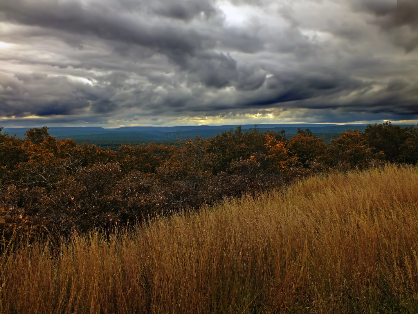 An image depicting the trail Rattlesnake Creek Trail and its surrounding area.