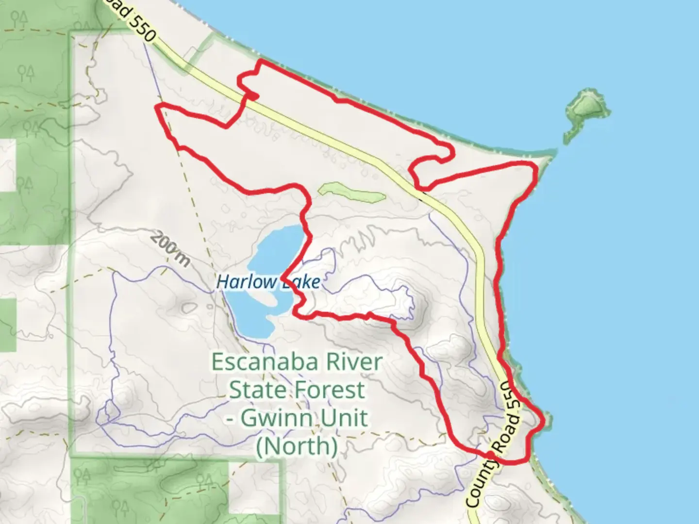 An image depicting the trail Bareback, Red Pine and Shoreline Loop Trail and its surrounding area.