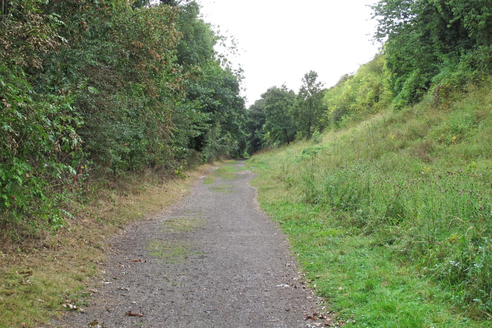 An image depicting the trail Hadleigh Country Park and Raydon Great Wood via Hadleigh Railway Walk and its surrounding area.