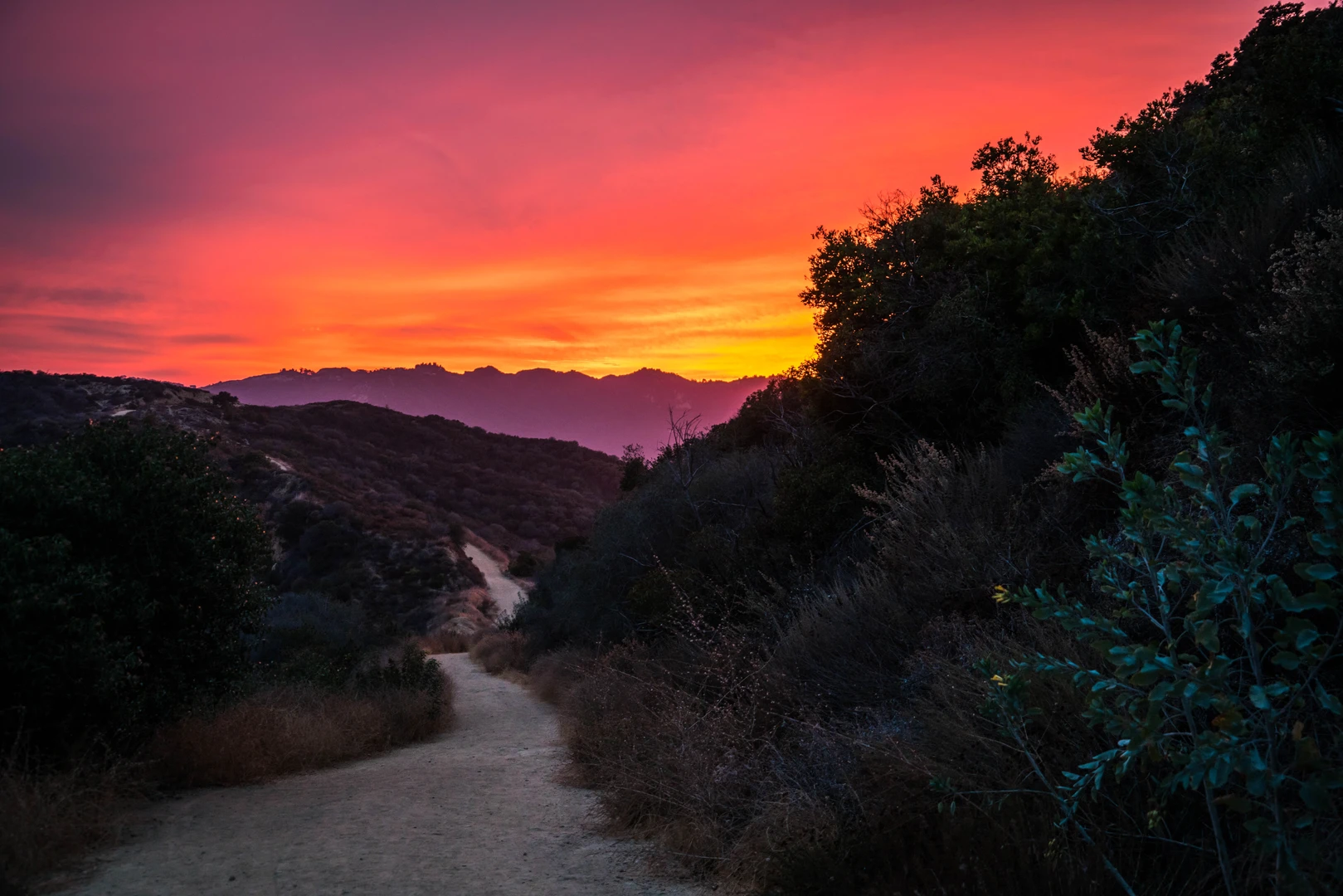 An image depicting the trail Eagle Rock via Backbone Trail and Santa Ynez Trail and its surrounding area.