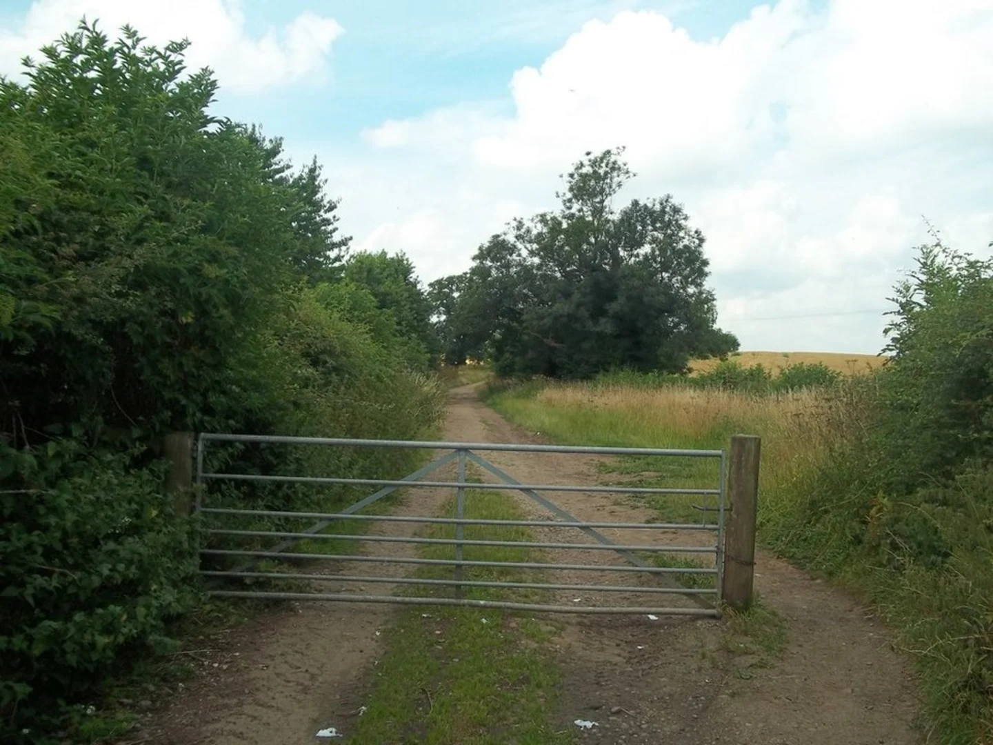 An image depicting the trail Markeaton and Mackworth Loop from Markeaton Park and its surrounding area.