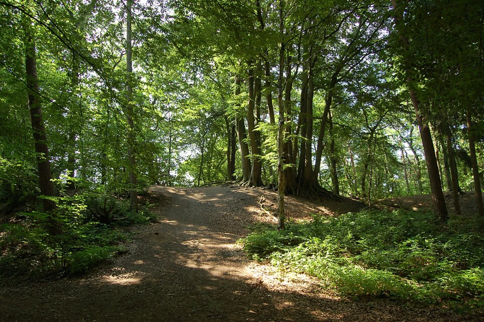 An image depicting the trail Gudower See and Sarnekower See and its surrounding area.