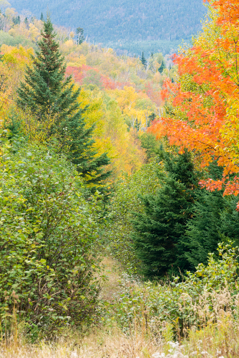 An image depicting the trail Mount Redington - Crocker Mountain from Carrabassett Road and its surrounding area.