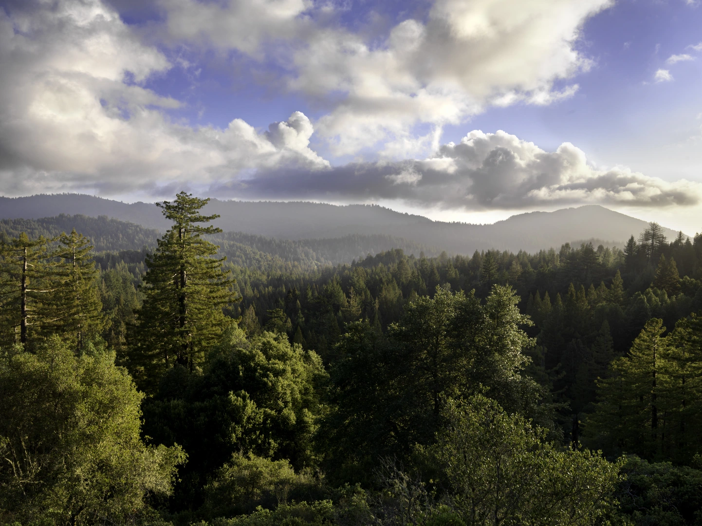 An image depicting the trail Skyline To The Sea and Sunset Loop Trail and its surrounding area.