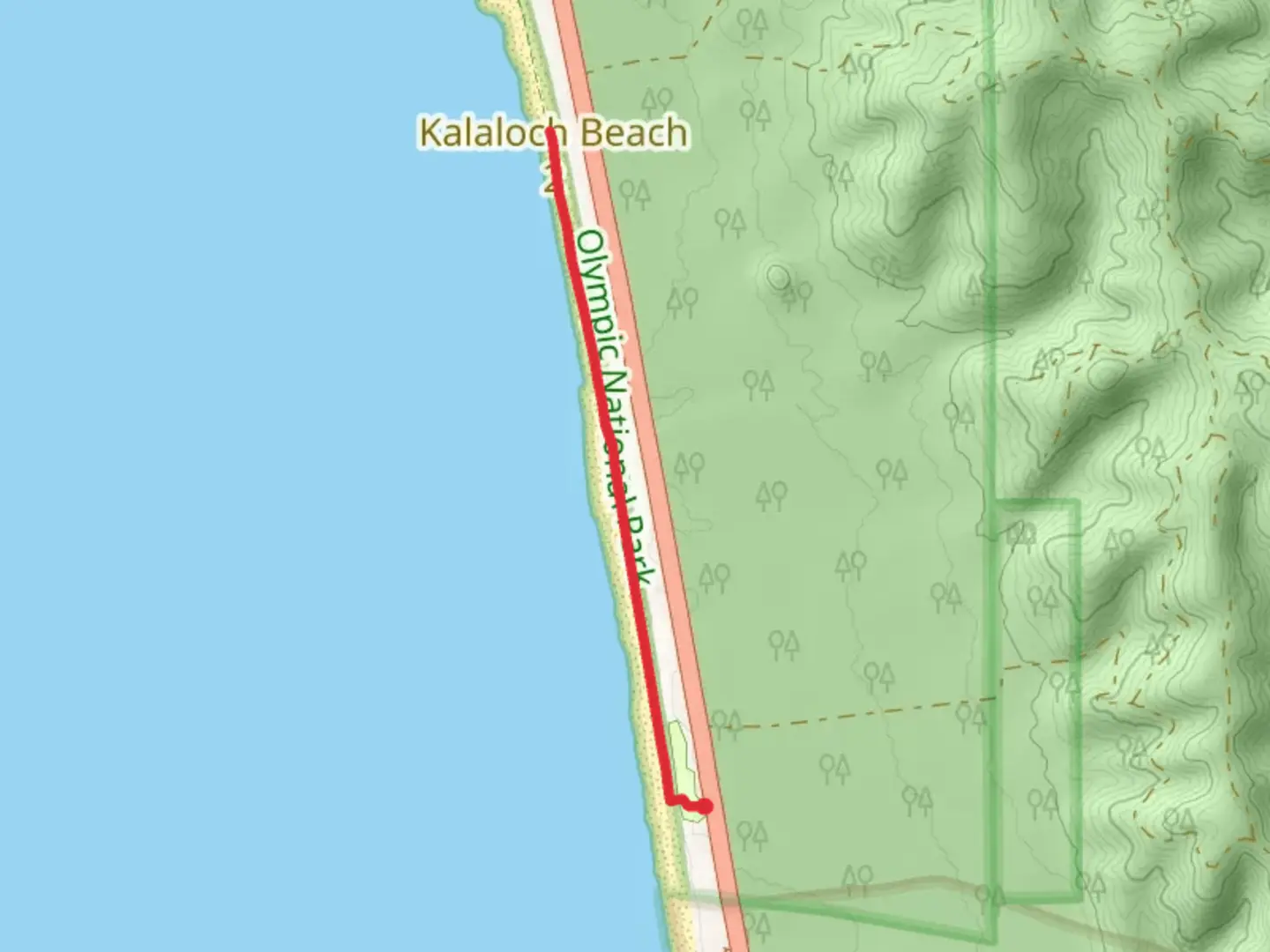 An image depicting the trail South Kalaloch Beach Out and Back and its surrounding area.