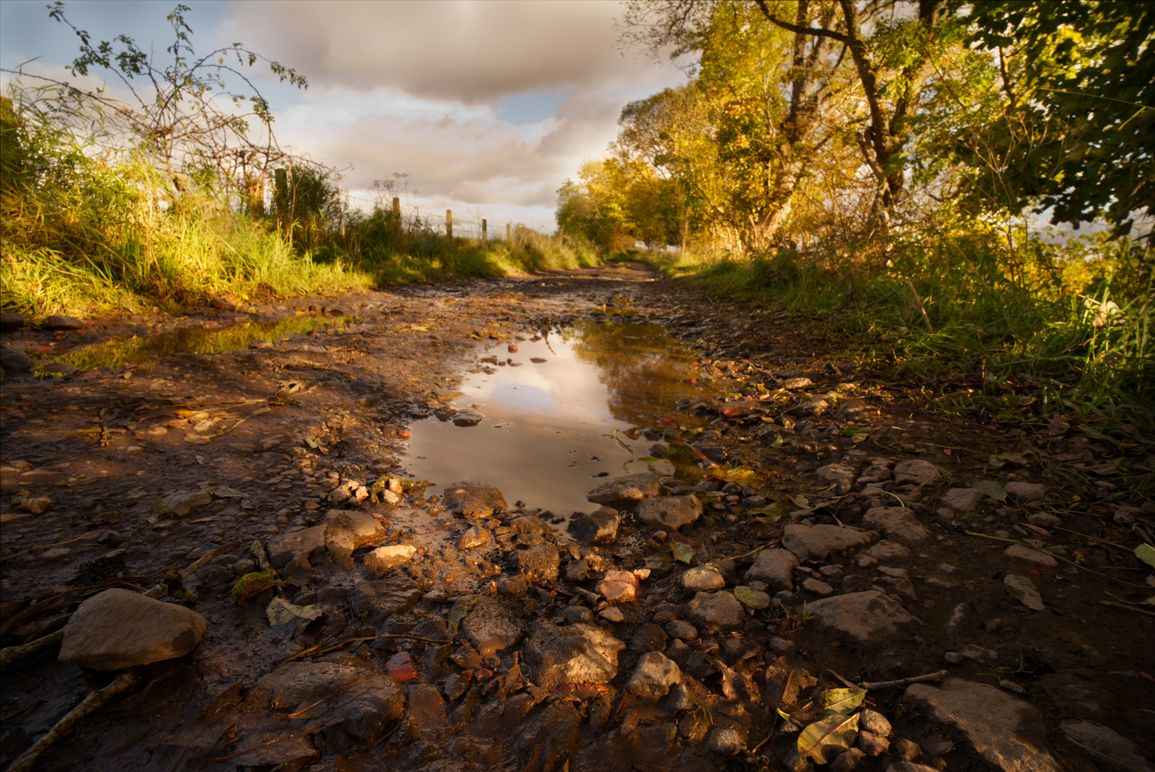 An image depicting the trail South Loch Ness Trail and its surrounding area.